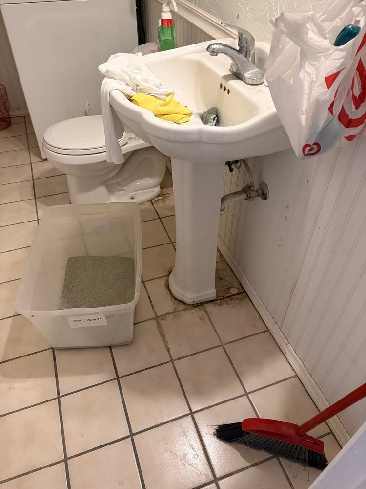 Before and after example - before